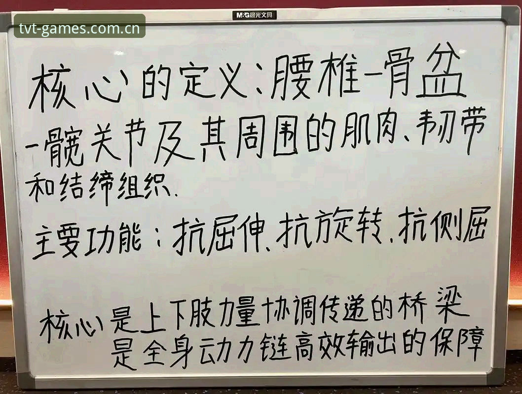 深度体验TVT体育平台：资深用户分享的全面评测与使用心得